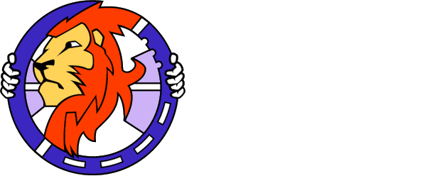 Brave Driver Training